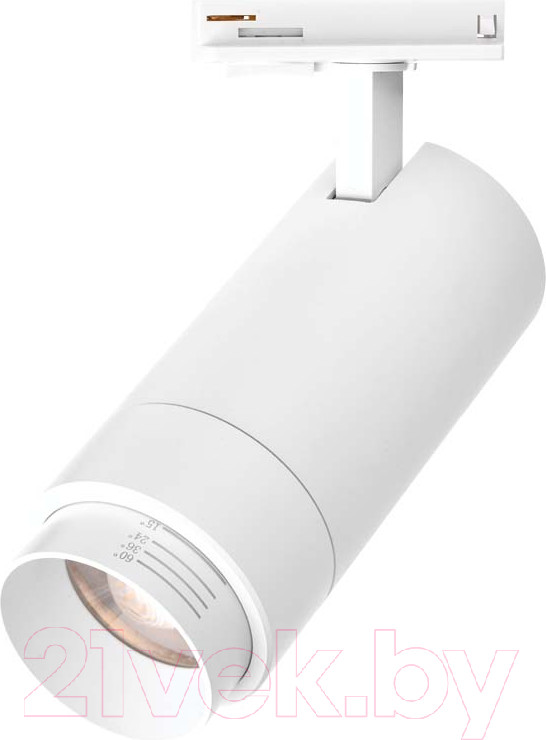 Трековый светильник Wolta WTL-25W/02W