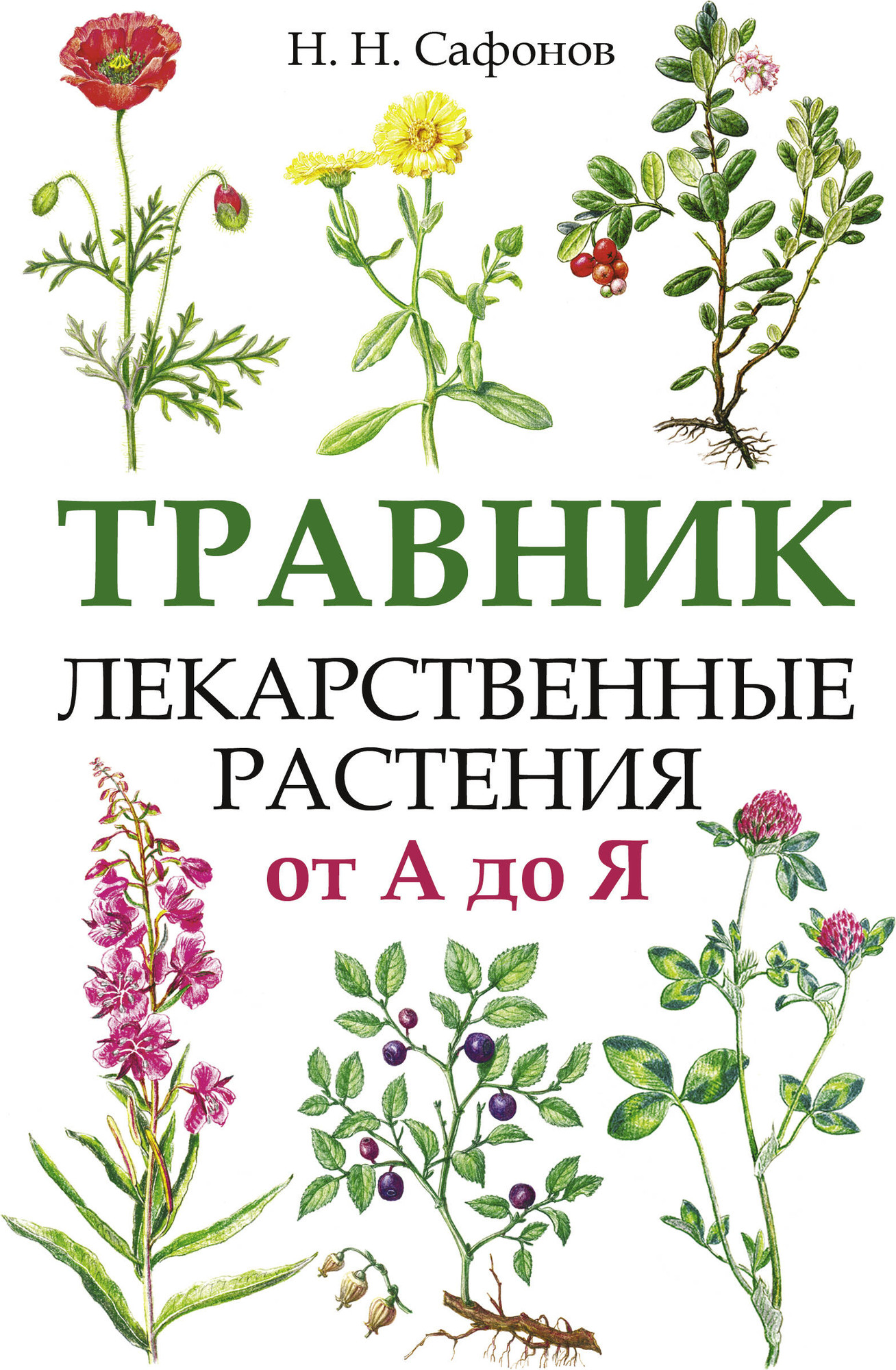 Энциклопедия АСТ Травник. Лекарственные растения от А до Я / 9785171619800 (Сафонов Н.Н.)