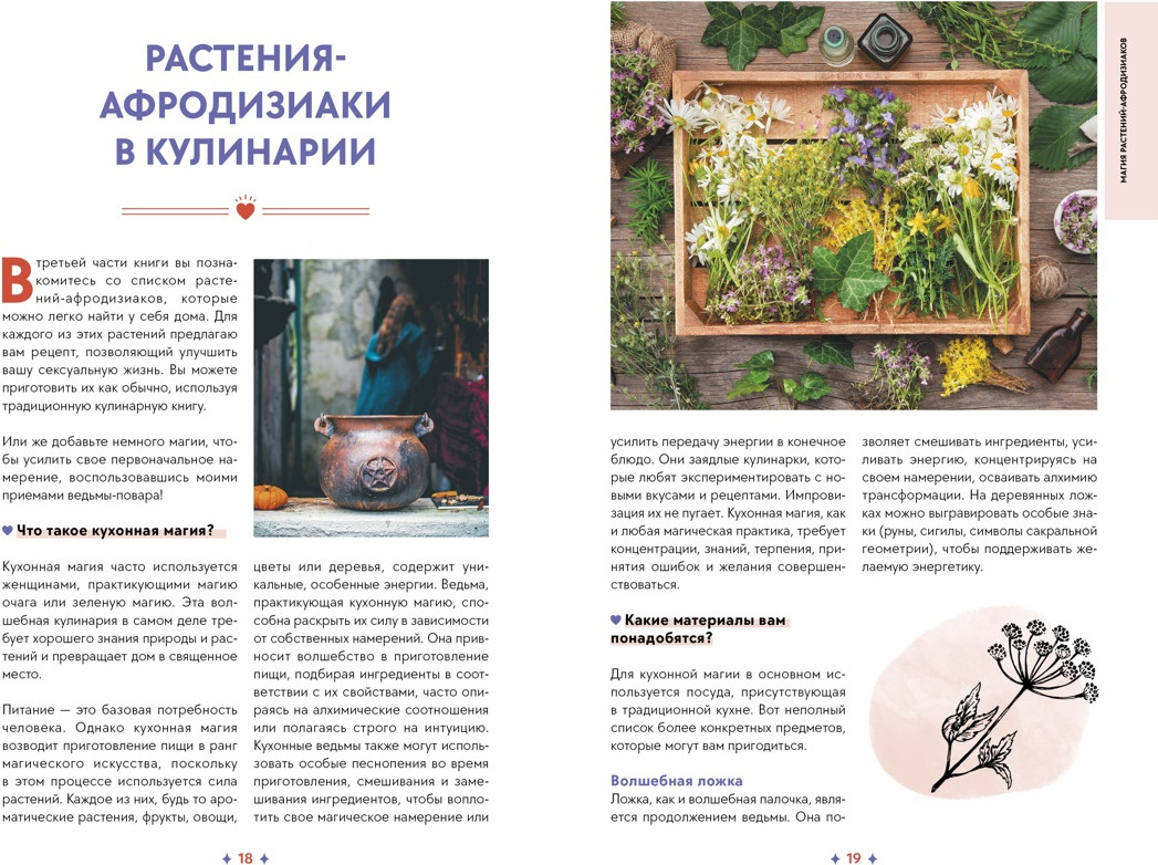 Нехудожественная книга КоЛибри Растения любви, твердая обложка (Рибейро Стефани) — фото 5