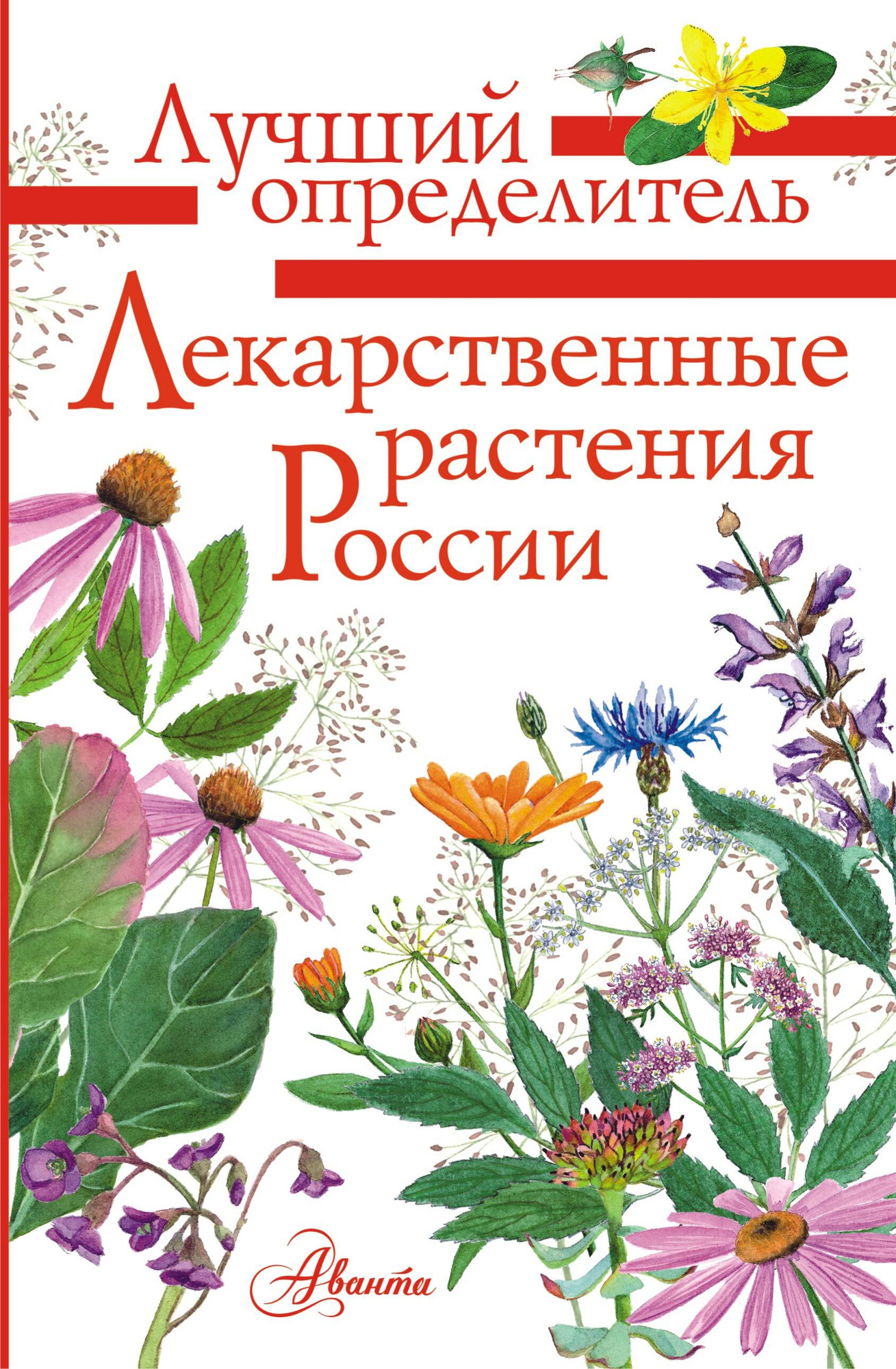 Энциклопедия АСТ Лекарственные растения России, полумягкая обложка