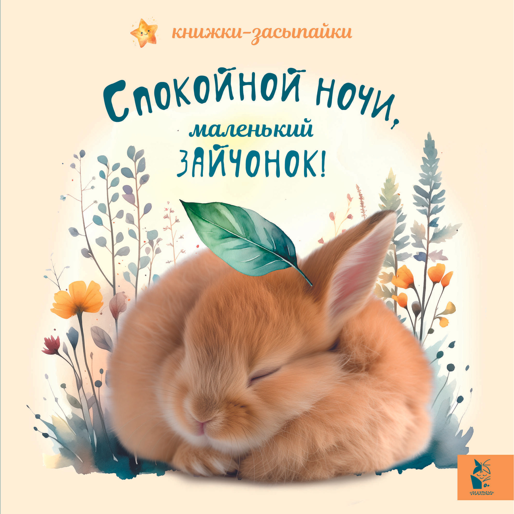 Художественная книга АСТ Спокойной ночи, маленький зайчонок! Твердая обложка — фото 1