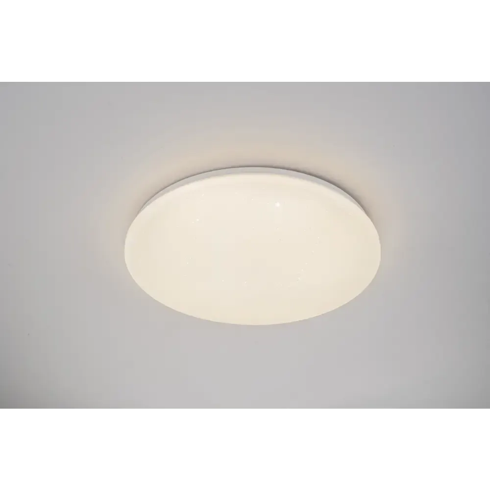 Потолочный светильник ESCADA 10212/SG LED (белый)