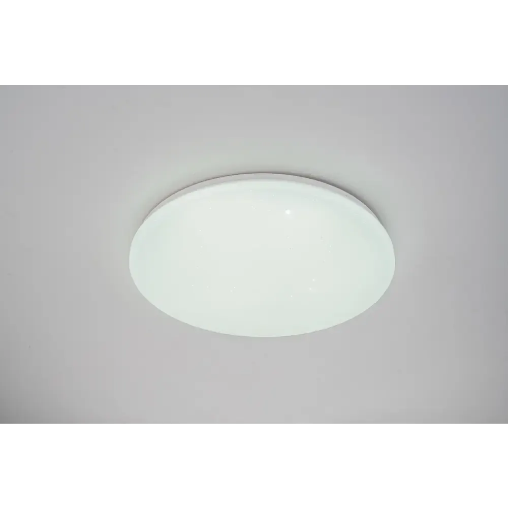 Потолочный светильник ESCADA 10212/SG LED (белый) — фото 5