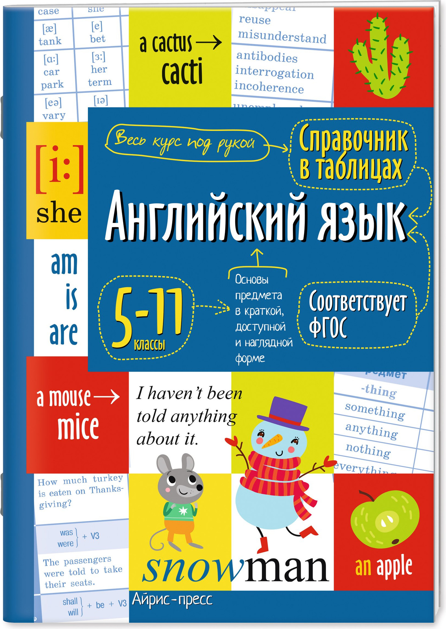 Учебное пособие Айрис-пресс Английский язык для средней и старшей школы. 5-11 классы (9785811275427)