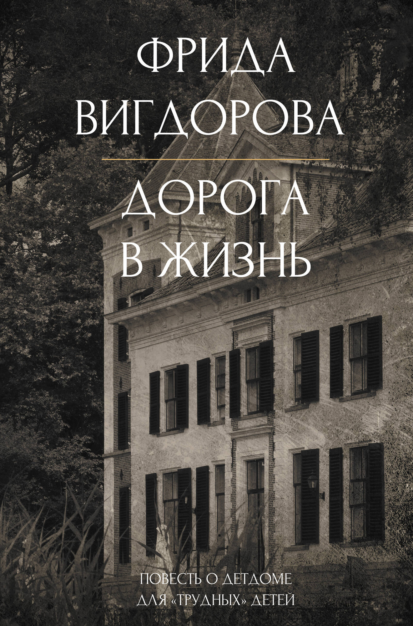 Художественная книга АСТ Дорога в жизнь, твердая обложка (Вигдорова Фрида) — фото 1