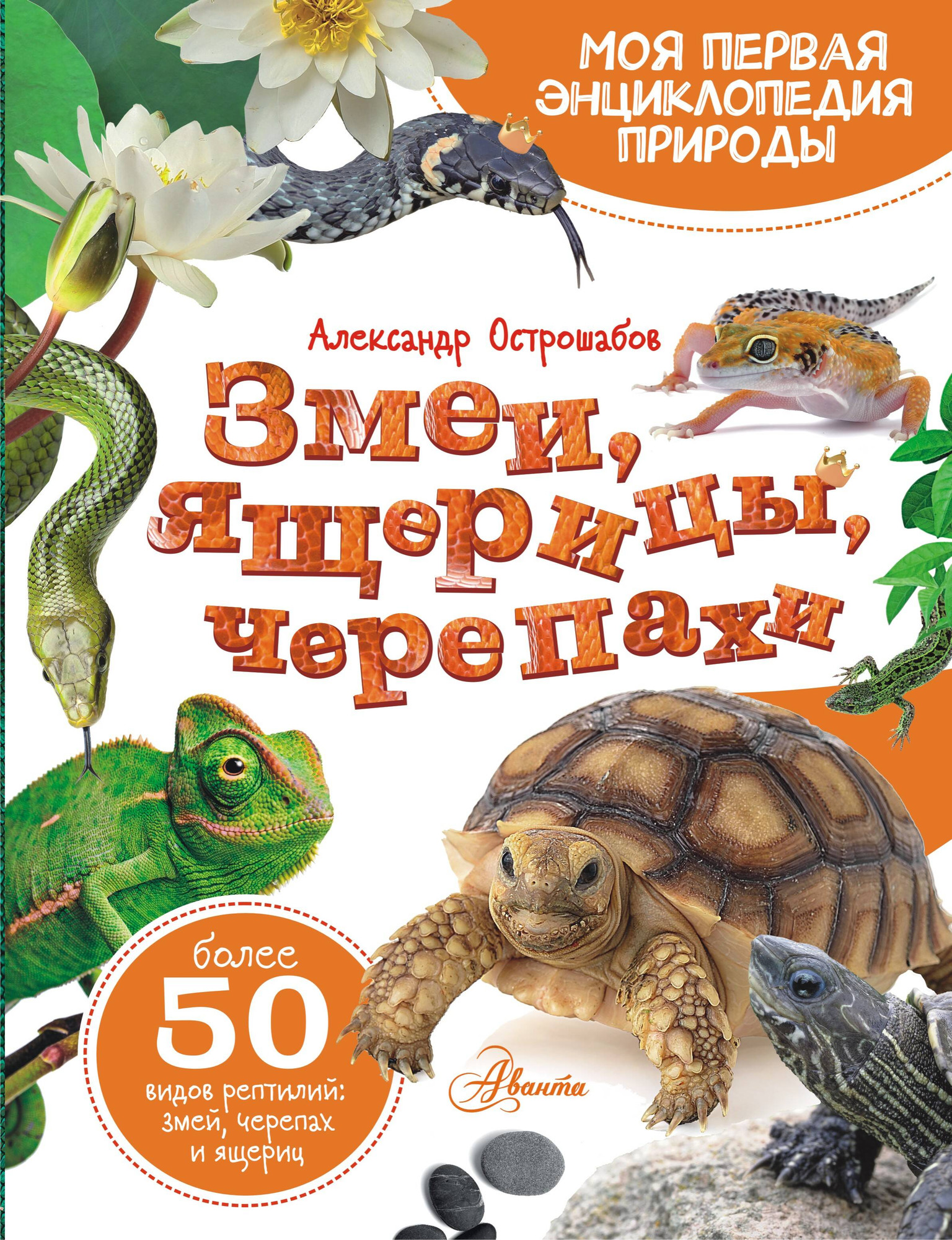 Энциклопедия АСТ Змеи, ящерицы, черепахи, твердая обложка (Острошабов Александр)