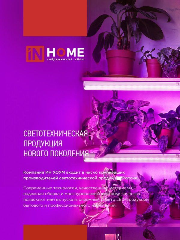 Светильник для растений INhome СПБ-110-Фито / 4690612057033 — фото 2