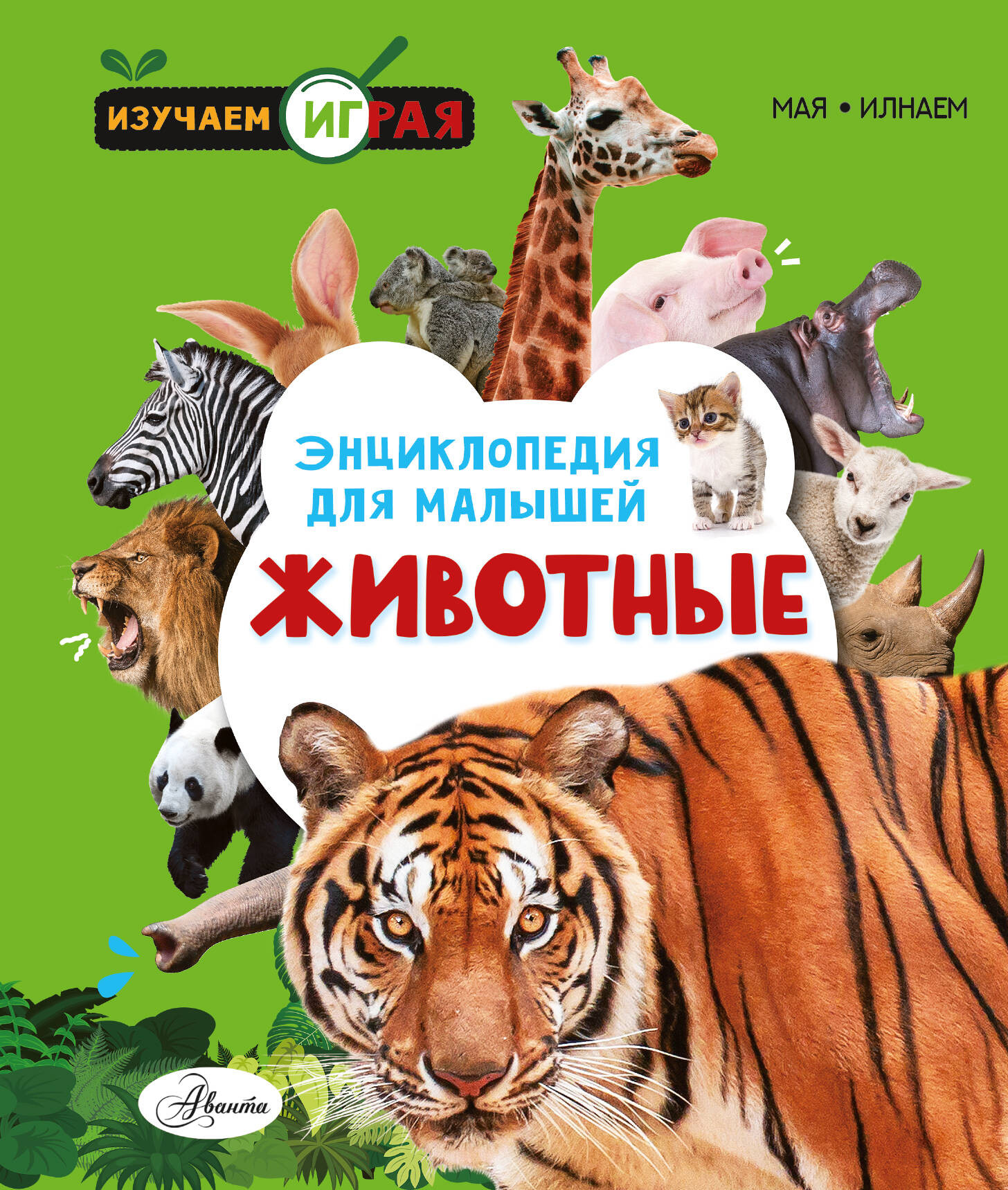 Энциклопедия АСТ Животные, твердая обложка — фото 1