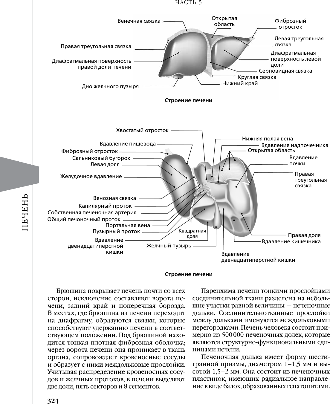 Книга АСТ Доказательная гастроэнтерология (9785171715977, Вялов С.С., Гилюк А.В.) — фото 4