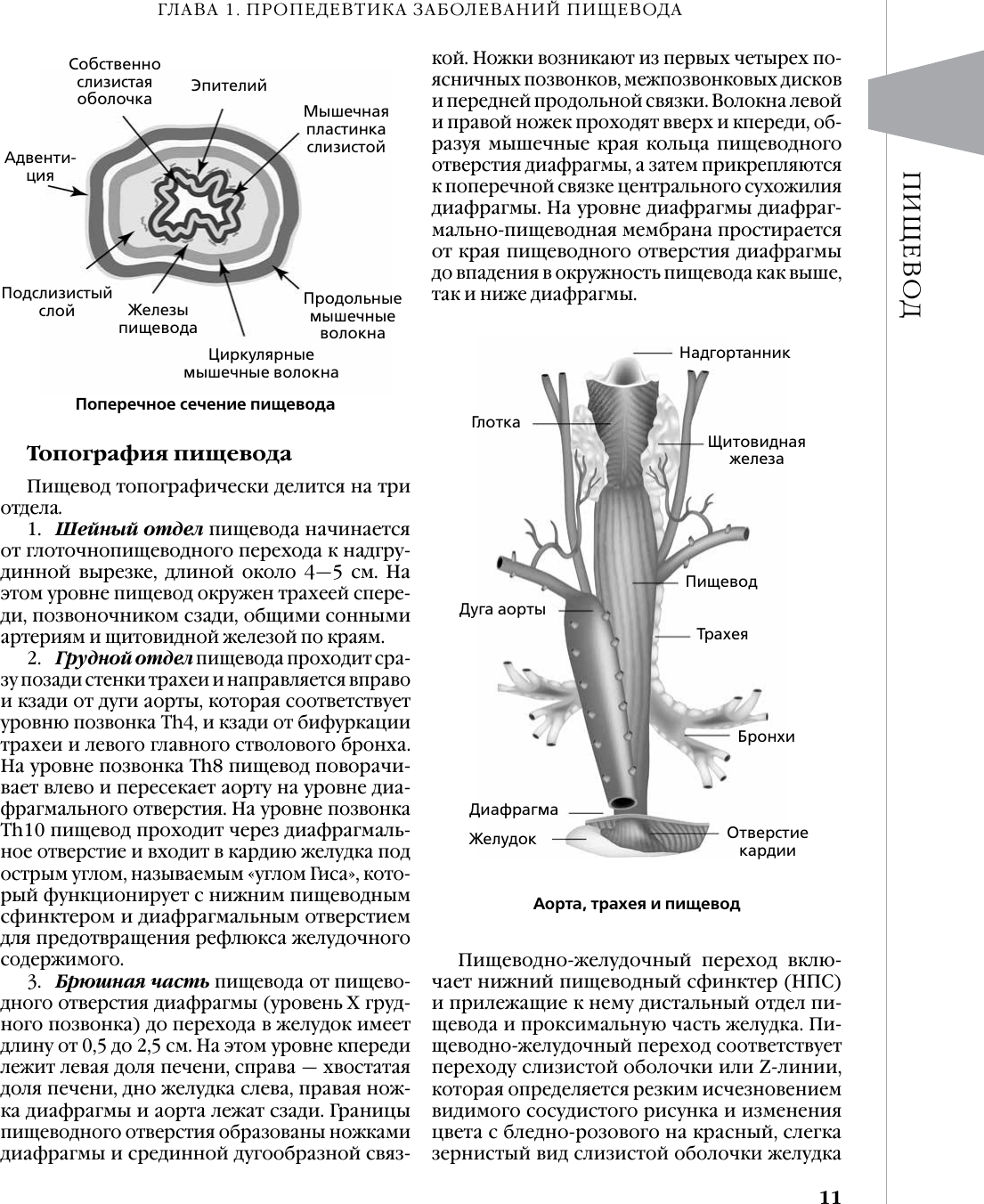 Книга АСТ Доказательная гастроэнтерология (9785171636982 , Вялов С.С., Гилюк А.В.) — фото 4
