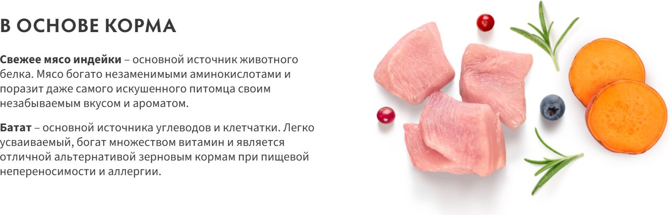 Сухой корм для кошек Grandorf Adult Fresh Turkey&Sweet Potato (2кг) — фото 2