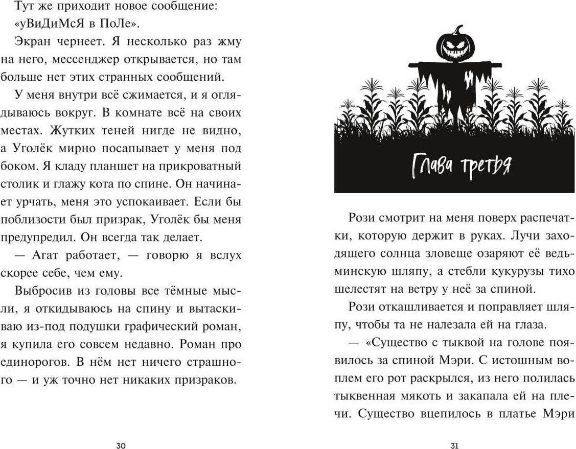 Художественная книга Эксмо Лаванда Рейн и Поле кошмаров, твердая обложка (Ренвик Джессика) — фото 4