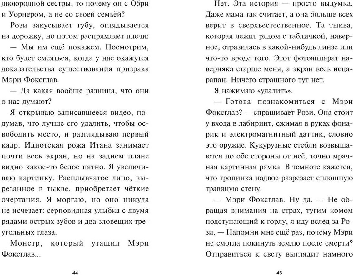 Художественная книга Эксмо Лаванда Рейн и Поле кошмаров, твердая обложка (Ренвик Джессика) — фото 6