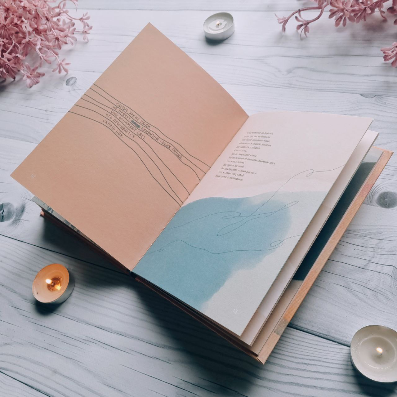 Художественная книга Бомбора Расцветай, моя милая (Харпер Николс Морган) — фото 2