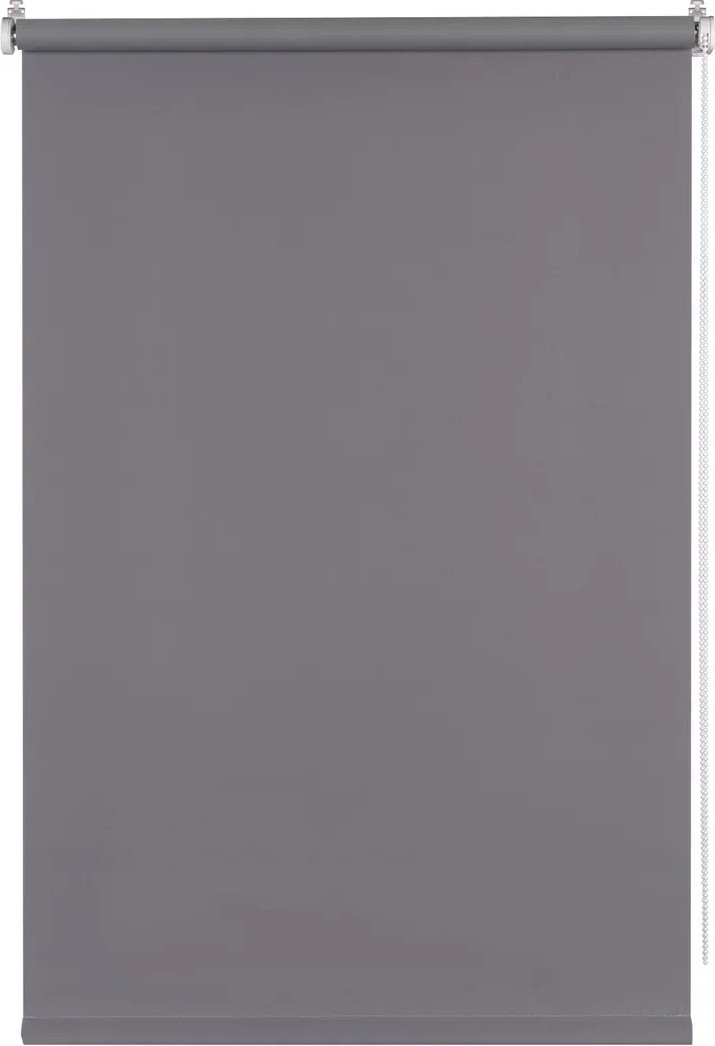 Рулонная штора Franc Gardiner Blackout Color 100x160 / 8311398 (серый)