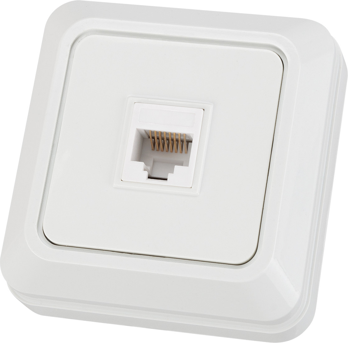 Розетка TDM Ладога SQ1801-0114 (белый)