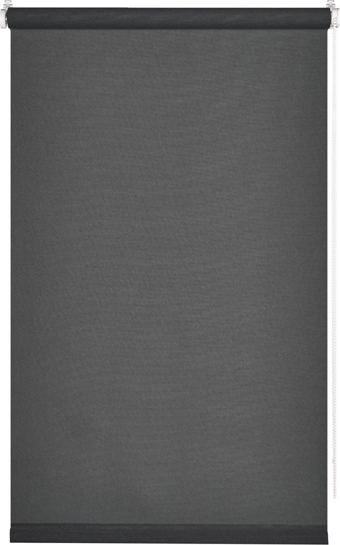Рулонная штора Franc Gardiner Screen 45x160 / 97282809 (асфальт)