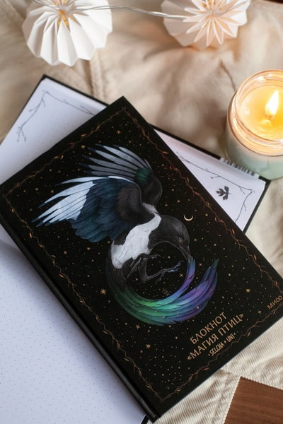 Записная книжка МИФ Магия птиц / 9785002503247 (Selcha Uni) — фото 4
