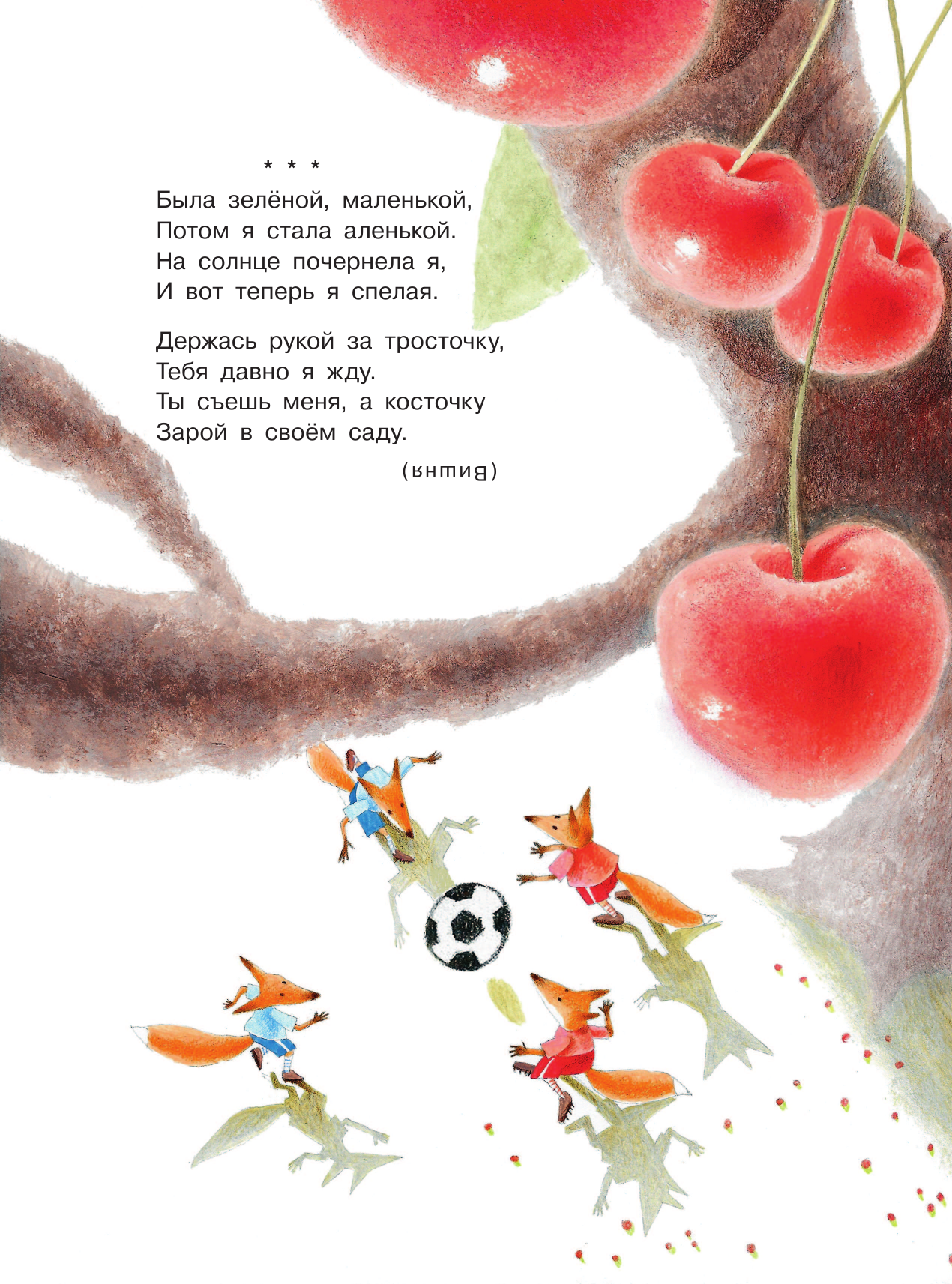 Художественная книга АСТ Загадки (Маршак С.Я. 9785171593605) — фото 4
