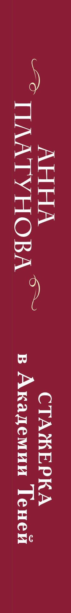 Художественная книга Эксмо Стажерка в Академии Теней, мягкая обложка (Платунова Анна) — фото 3