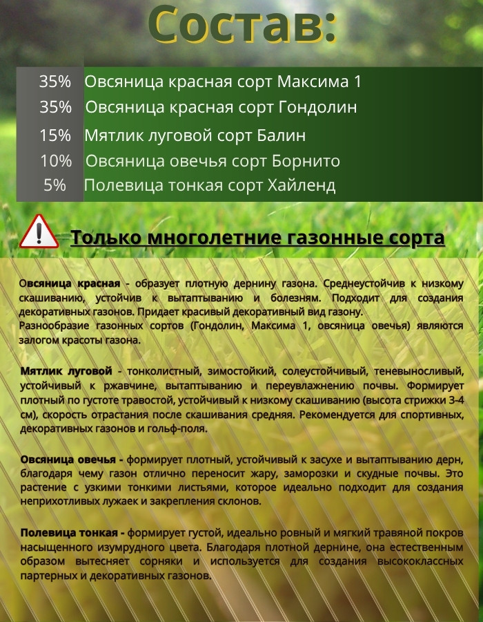 Семена газонной травы Агросемсервис Лилипут (1кг) — фото 2
