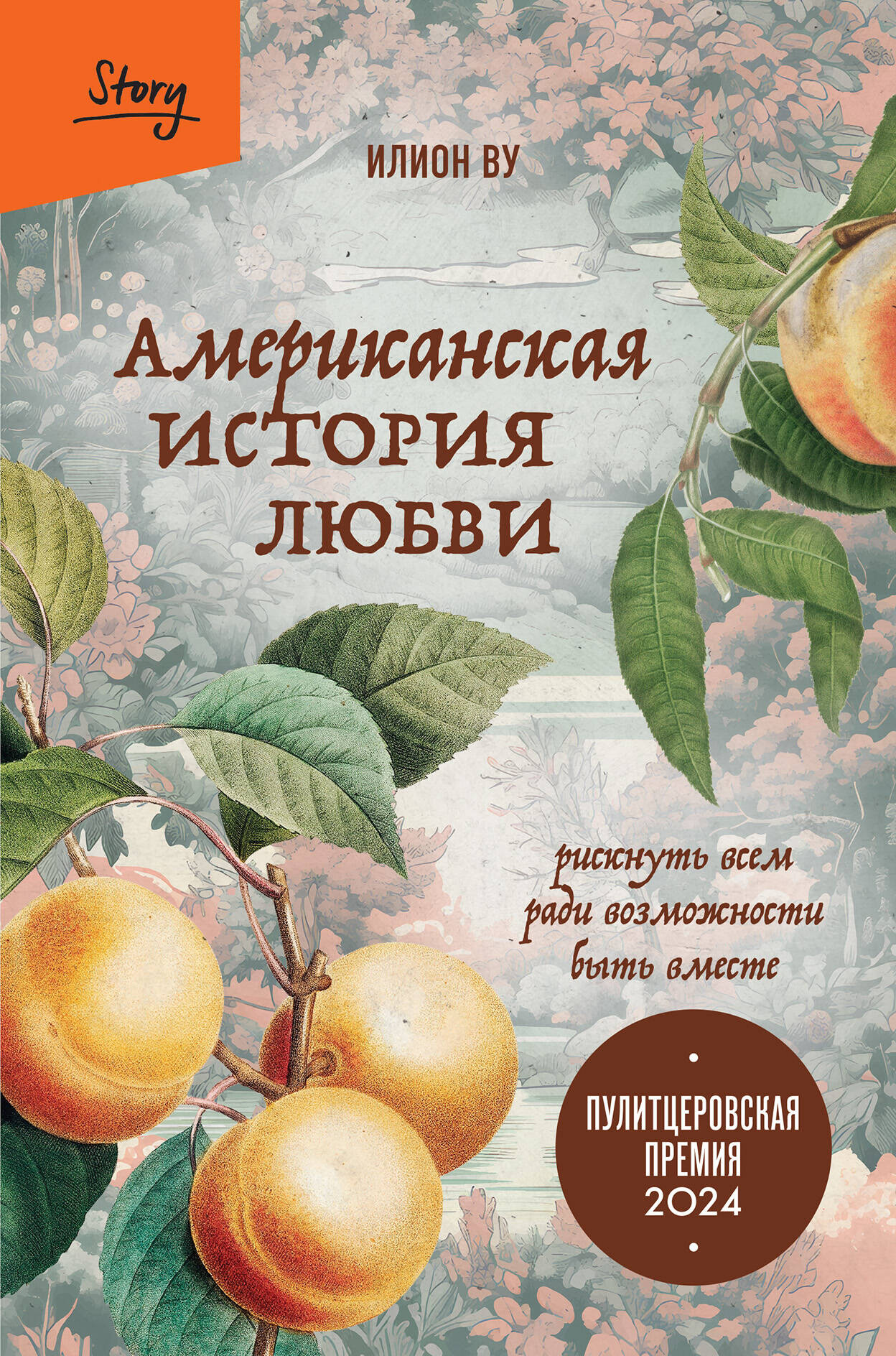 Художественная книга Бомбора Американская история любви, твердая обложка (Илион Ву)