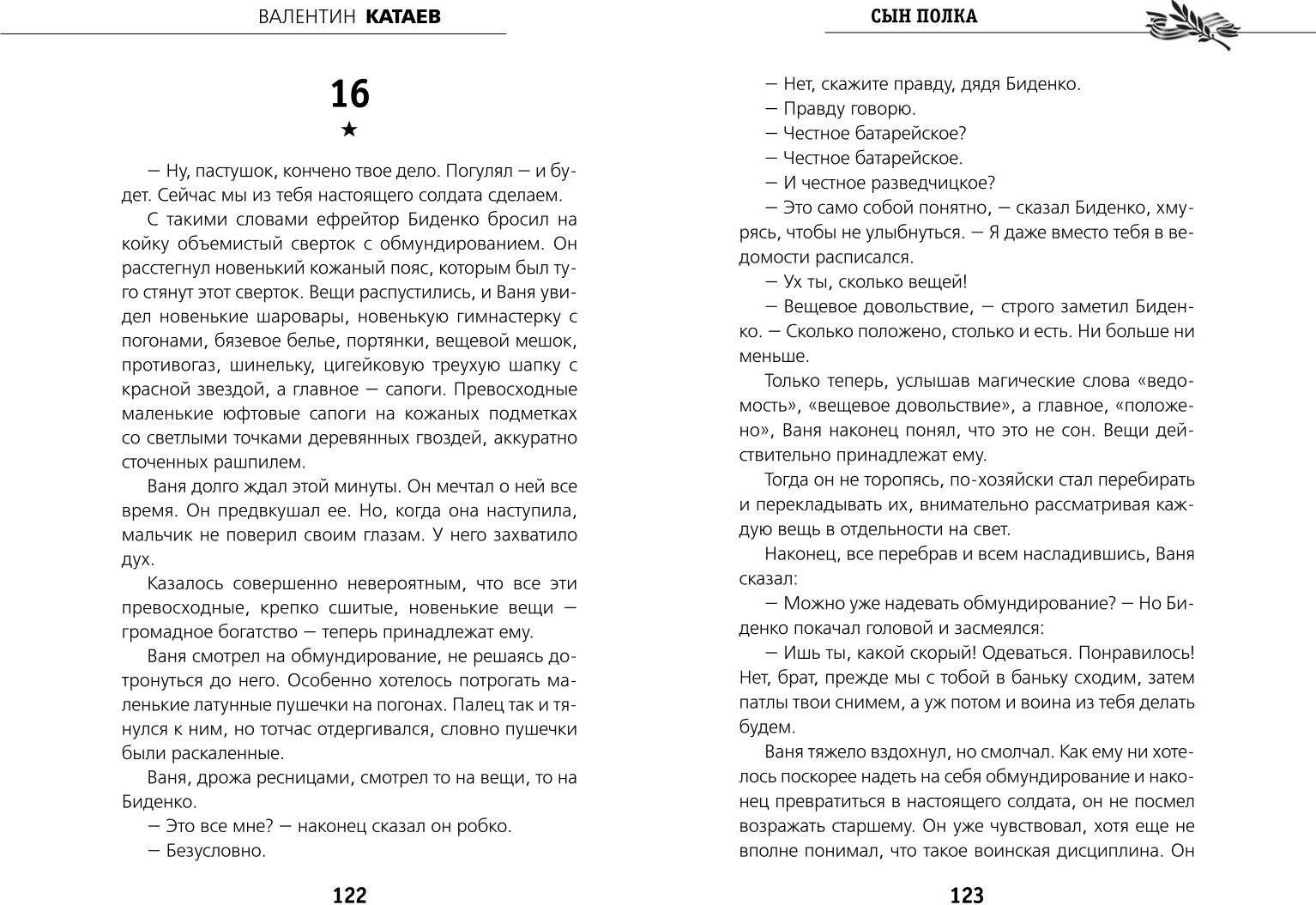 Художественная книга Эксмо Сын полка, твердая обложка (Катаев Валентин) — фото 5