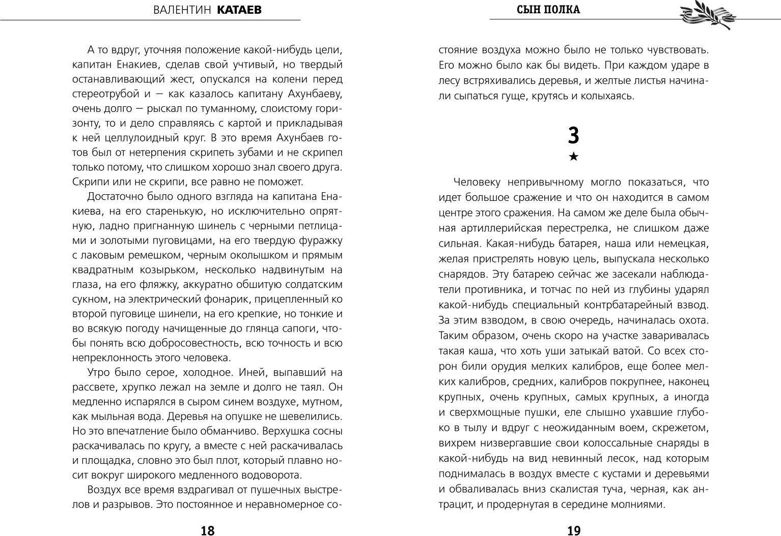 Художественная книга Эксмо Сын полка, твердая обложка (Катаев Валентин) — фото 2