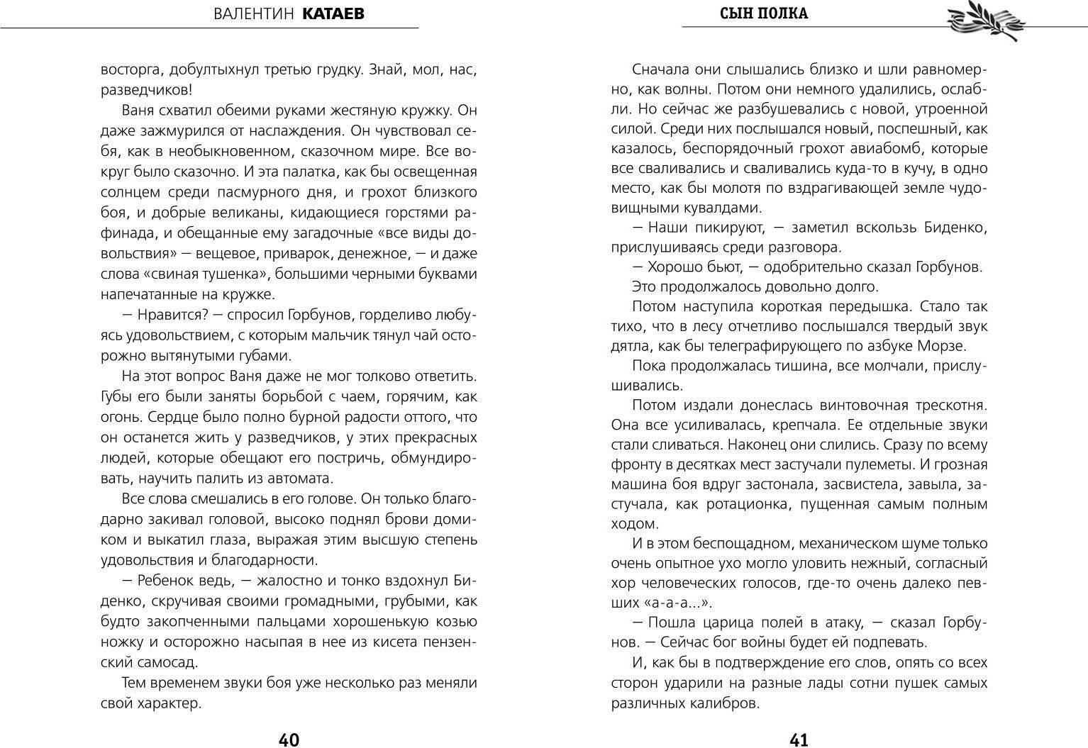 Художественная книга Эксмо Сын полка, твердая обложка (Катаев Валентин) — фото 3