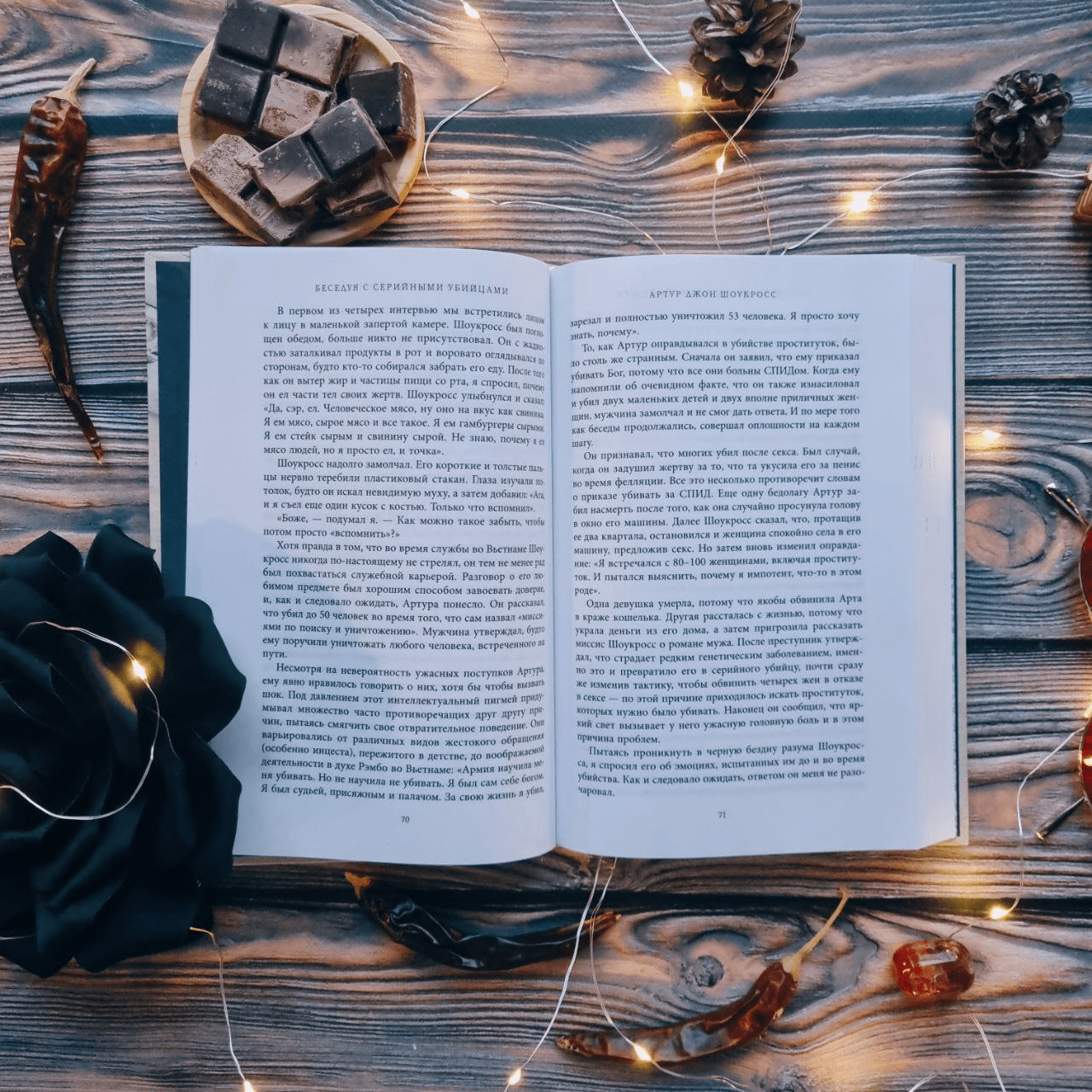 Книга Бомбора Беседуя с серийными убийцами (Берри-Ди Кристофер 9785042067846) — фото 2