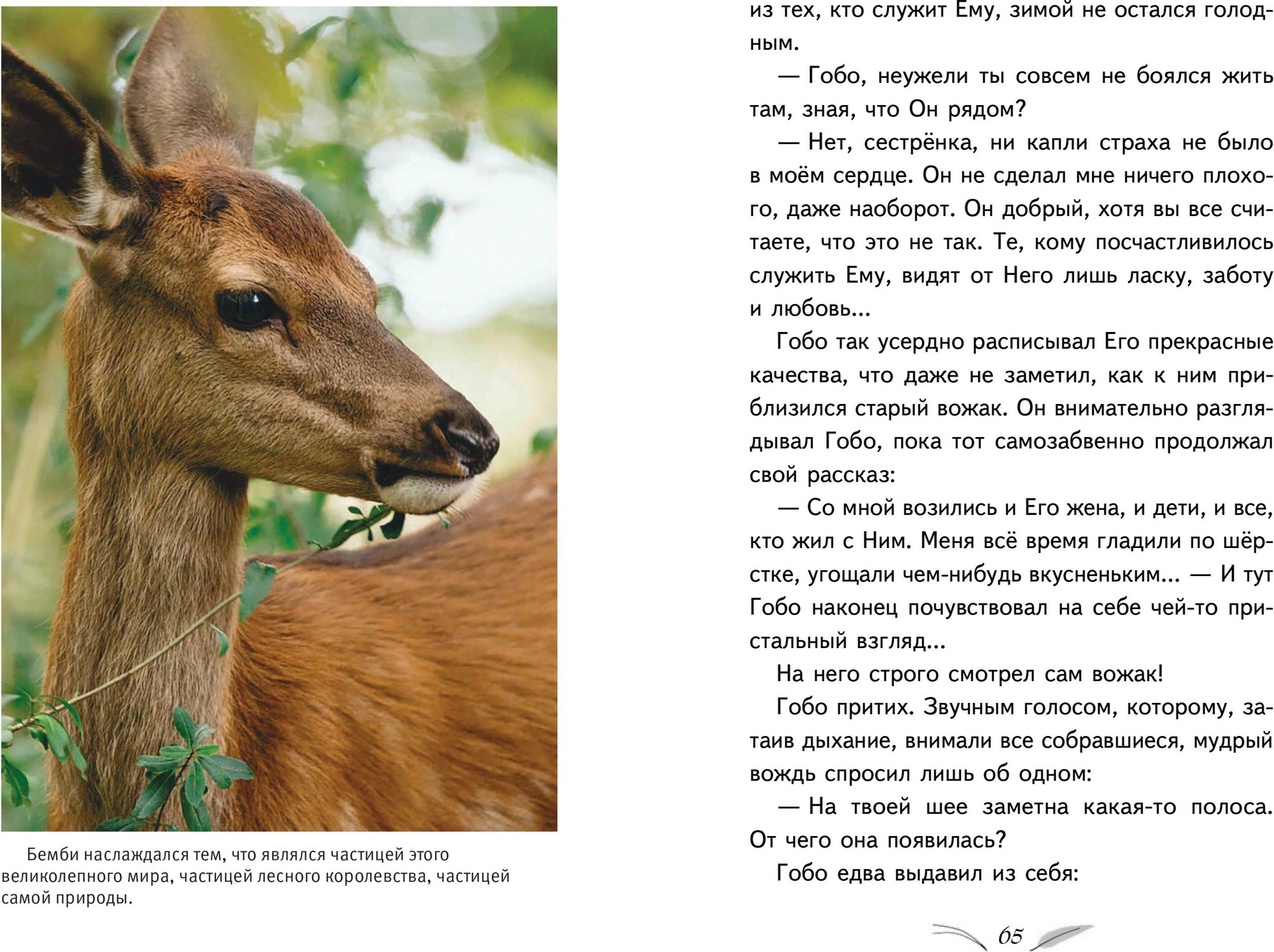 Художественная книга Эксмо Бемби, твердая обложка (Зальтен Феликс) — фото 4