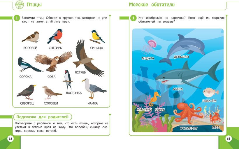 Развивающая книга Эксмо Развивающие задания для детей 4-5 лет (Нефедова Л. 9785041893361) — фото 4