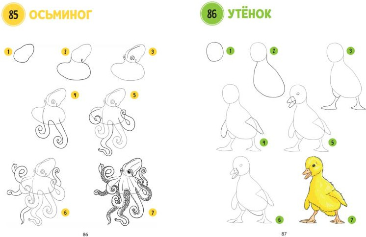 Нехудожественная книга Эксмо Большая книга животных. 300 рисунков шаг за шагом (Эрцог Лиз, мягкая обложка) — фото 3
