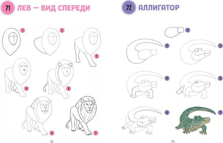 Нехудожественная книга Эксмо Большая книга животных. 300 рисунков шаг за шагом (Эрцог Лиз, мягкая обложка) — фото 2
