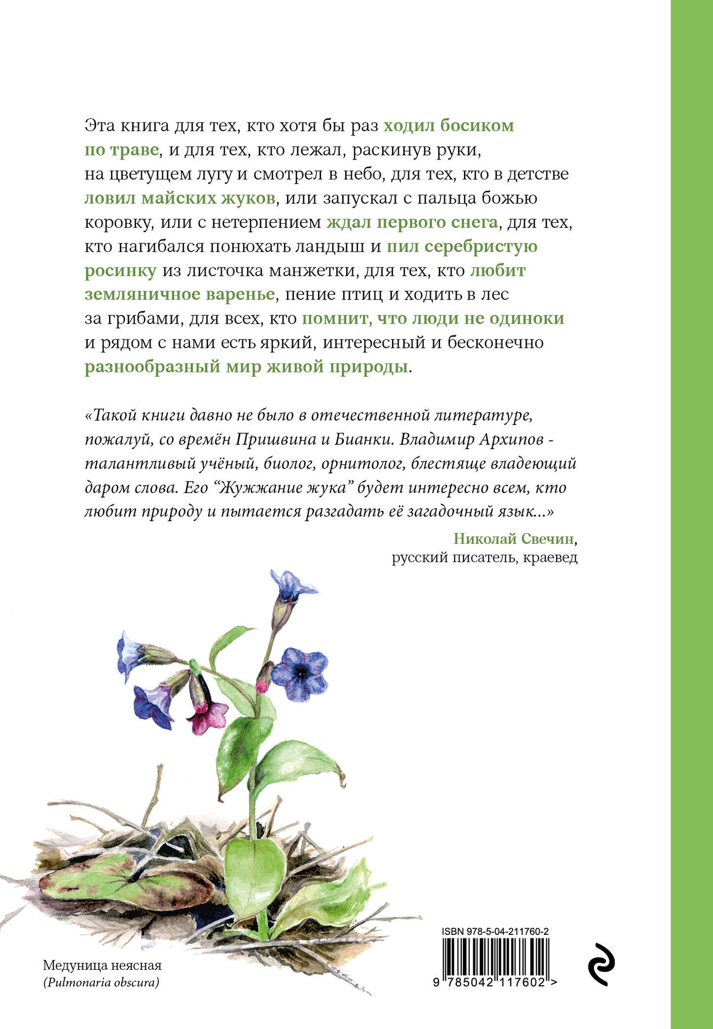 Художественная книга Бомбора Жужжание жука. Полевые и не очень дневники орнитолога (Архипов В. 9785042117602) — фото 2