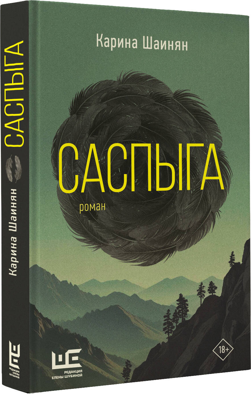 Художественная книга АСТ Саспыга, твердая обложка (Шаинян Карина) — фото 2