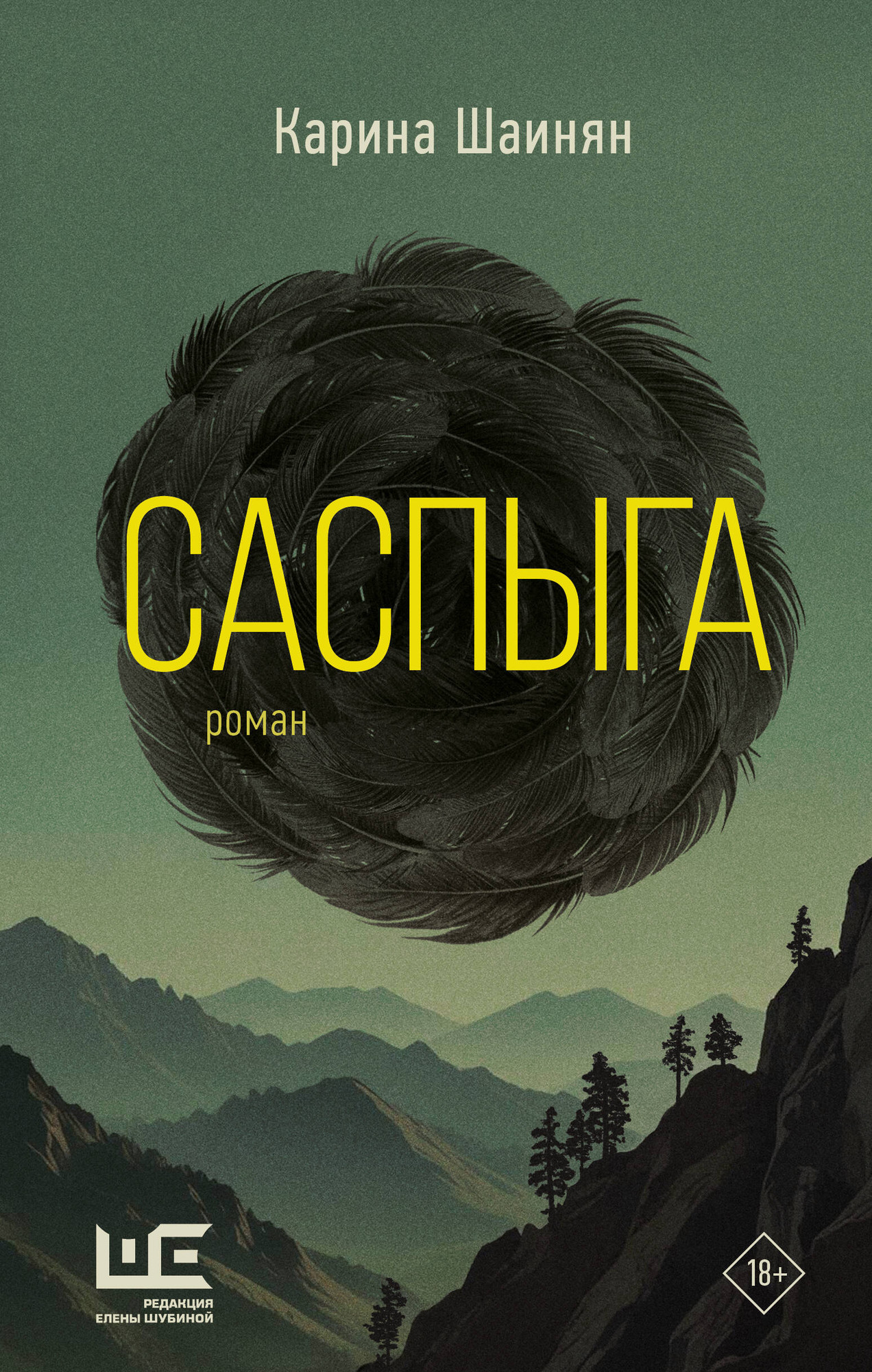 Художественная книга АСТ Саспыга, твердая обложка (Шаинян Карина) — фото 1