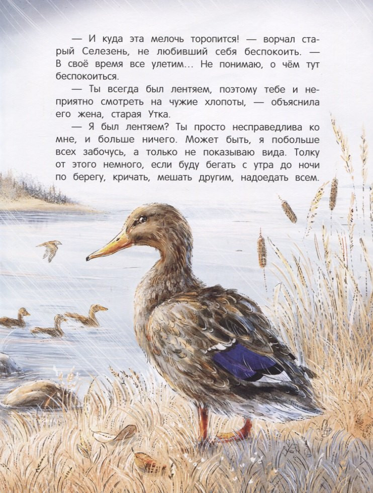 Художественная книга Феникс-премьер Серая Шейка (Мамин-Сибиряк Д. 9785222446522) — фото 2