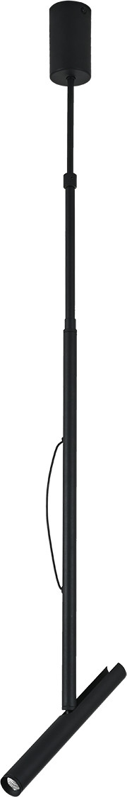 Потолочный светильник ESCADA 10275/1LED (черный)