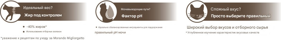 Влажный корм для кошек Miglior Sterilized Кусочки в желе с лососем (10х85г) — фото 4