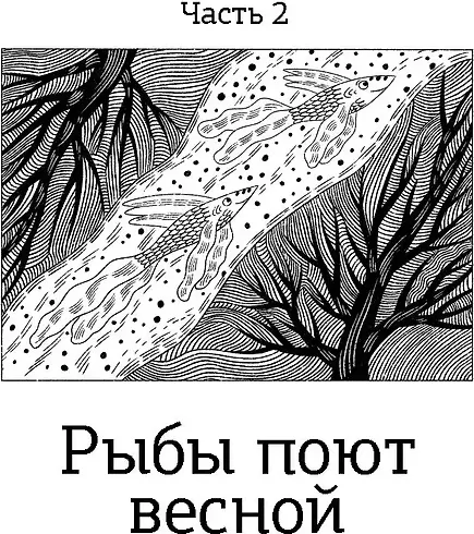Художественная книга КомпасГид Волшебная почта. Книга 2 (Герасимова Дарья 9785907957312) — фото 4