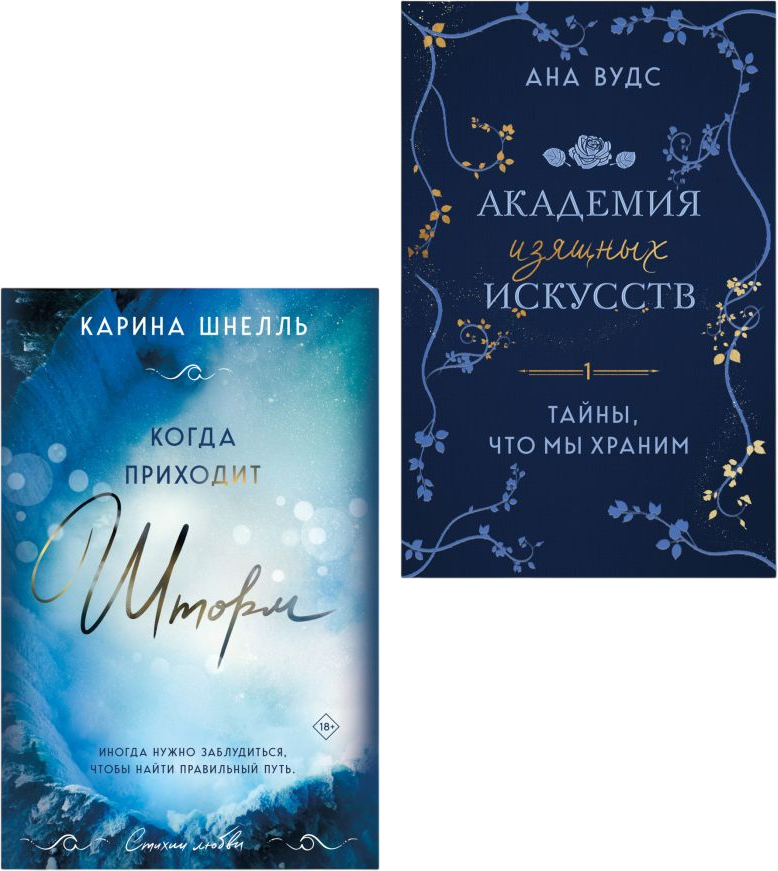 Набор художественных книг Эксмо Тайны, что мы храним. Когда приходит шторм (Вудс Ана, Шнелль Карина 9785042237720) — фото 1