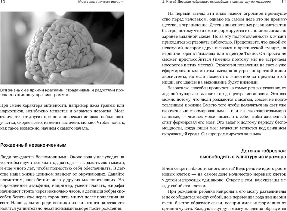Книга КоЛибри Мозг: ваша личная история, мягкая обложка (Иглмен Дэвид) — фото 3