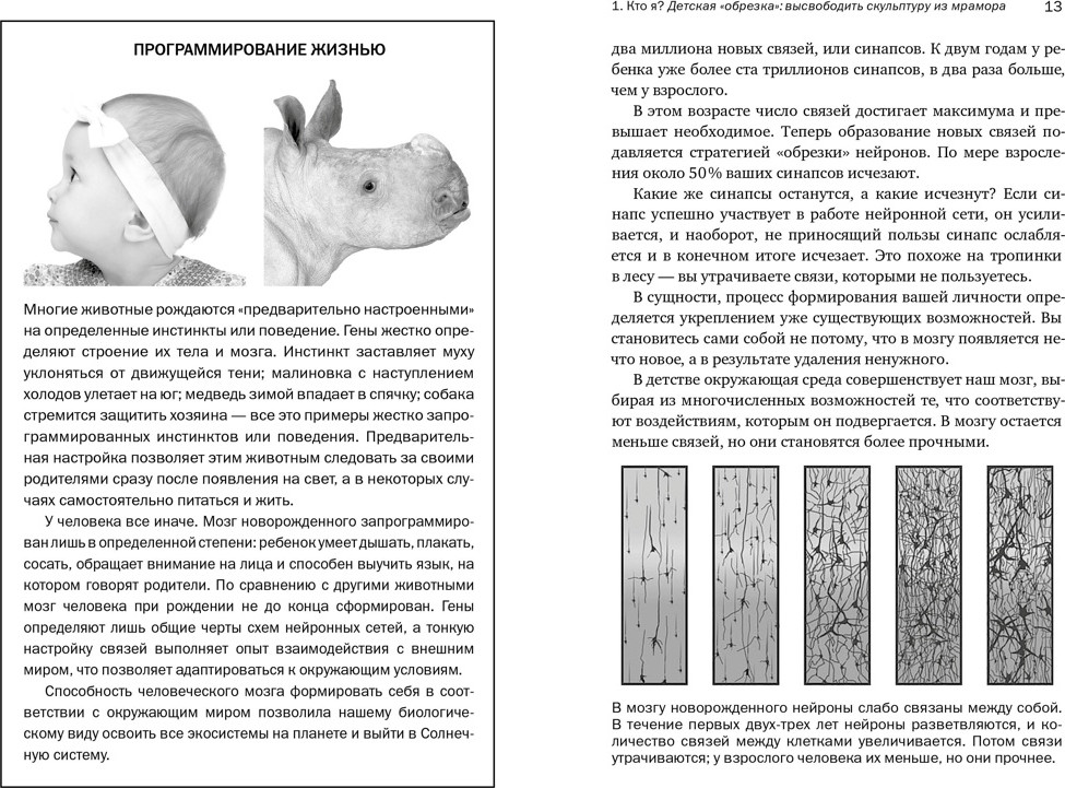 Книга КоЛибри Мозг: ваша личная история, мягкая обложка (Иглмен Дэвид) — фото 4
