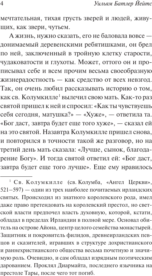 Художественная книга АСТ Кельтские сумерки, мягкая обложка (Йейтс Уильям) — фото 6