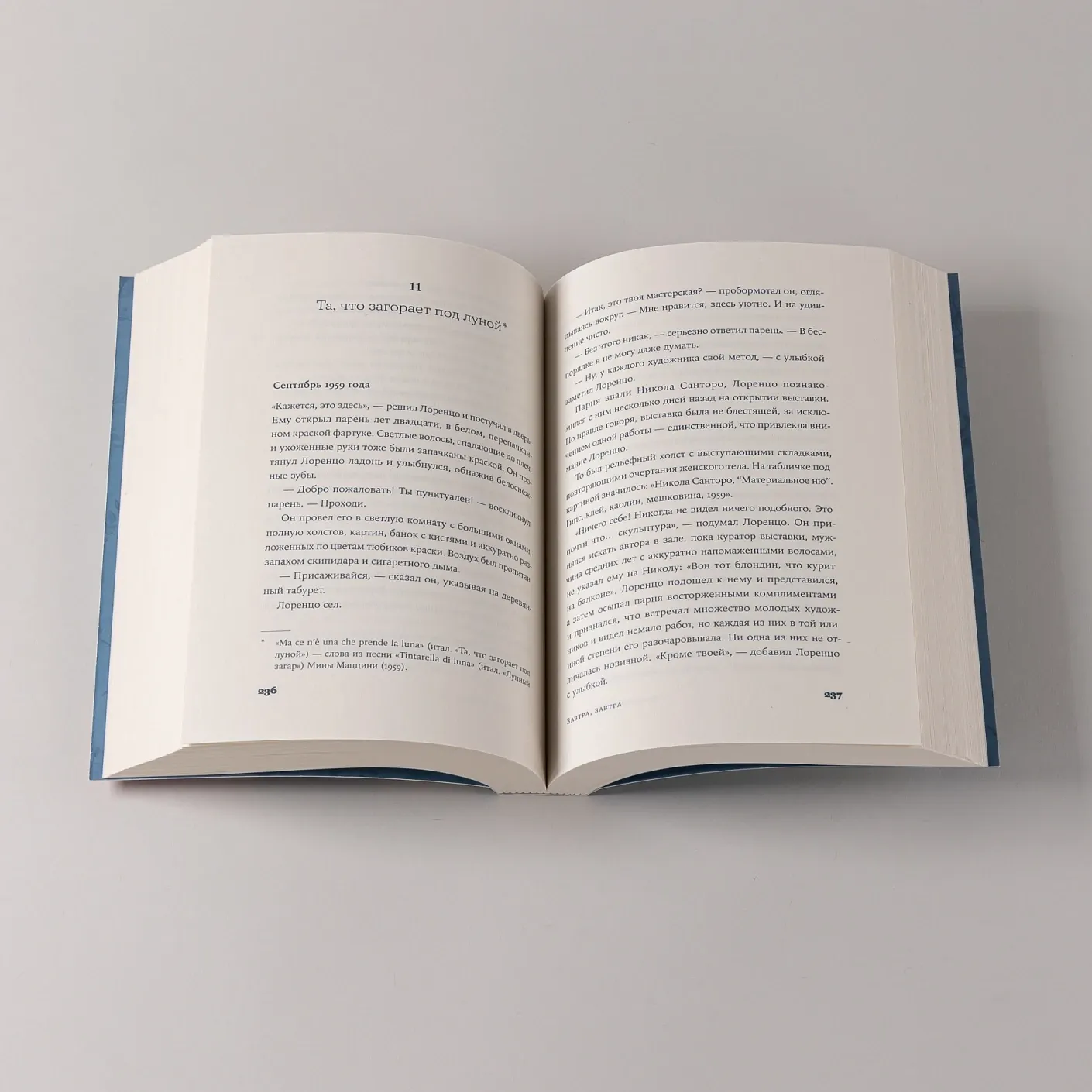 Художественная книга Альпина Завтра, завтра (Джанноне Франческа 9785006300262) — фото 3