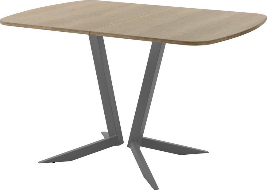 Обеденный стол AMC Elite Е19(1200) D2 (графит/дуб небраска натур)
