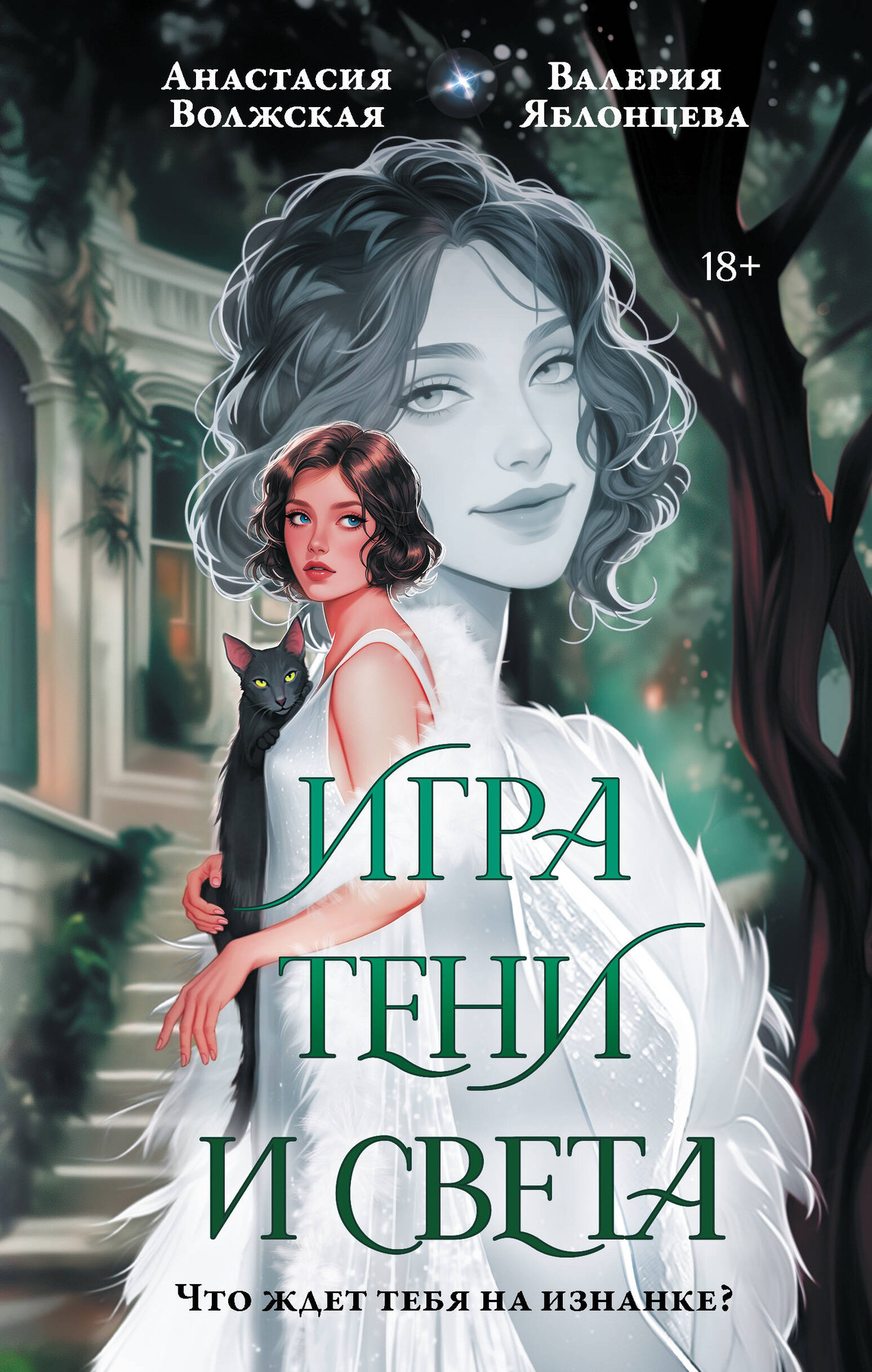 Художественная книга АСТ Игра тени и света, твердая обложка (Волжская Анастасия, Яблонцева Валерия) — фото 1