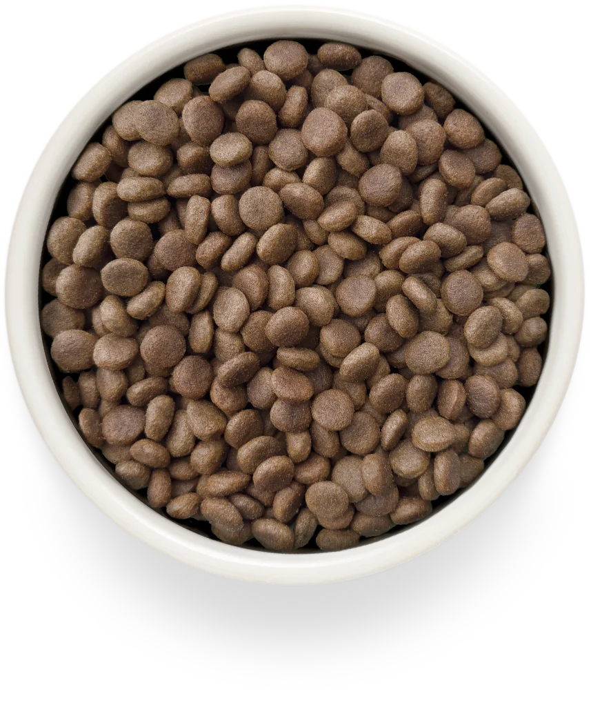 Сухой ветеринарный корм для собак Grandorf Vet Dog Gastrointestinal. Low Fat (1кг) — фото 3