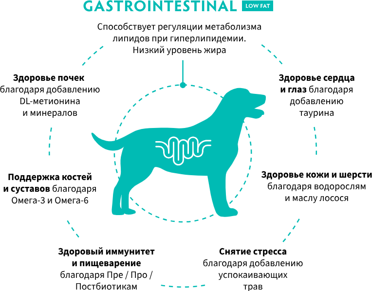Сухой ветеринарный корм для собак Grandorf Vet Dog Gastrointestinal. Low Fat (1кг) — фото 4